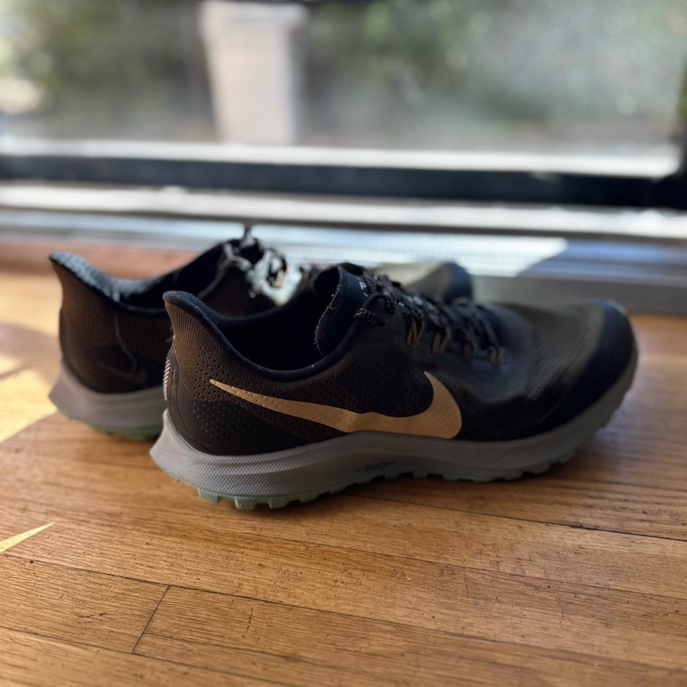 Nike Pegasus 38 Trail, men’s size 10 D